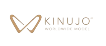 KINUJO Hair Dryer Styling Tools & Appliances
